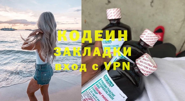 ешки Няндома