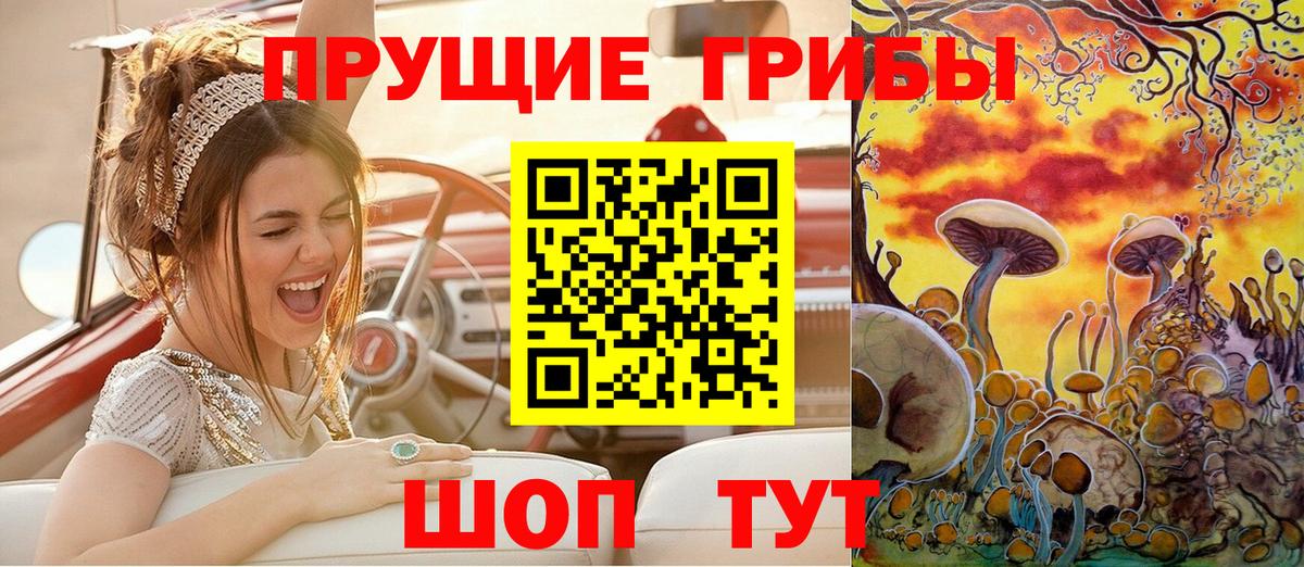 Псилоцибиновые грибы мухоморы  купить наркоту  Новокузнецк  Вход с VPN  Псилоцибиновые грибы Psilocybine cubensis 