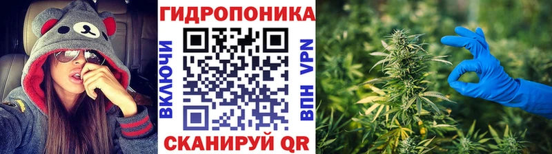 МАРИХУАНА Amnesia  цены наркотик  Новокузнецк 