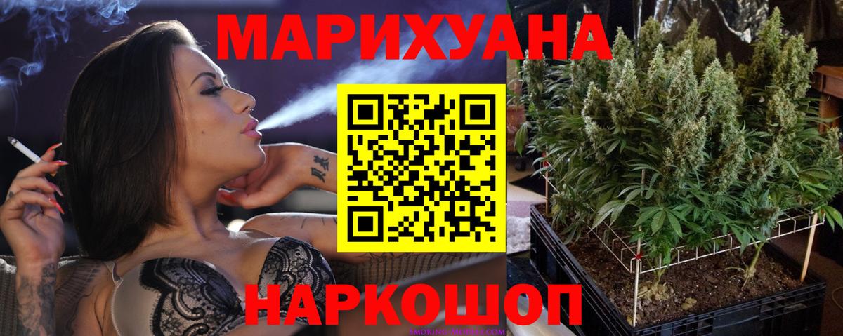 МАРИХУАНА планчик  Вход с VPN  Шишки марихуана SATIVA & INDICA  Новокузнецк  Марихуана SATIVA & INDICA 